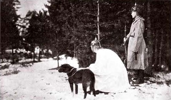 Штурм Карпат. Зима 1915 года Штурм Карпат. Зима 1915 года