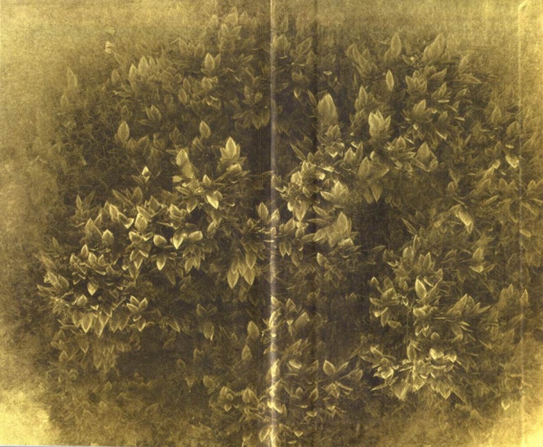 Сцены из провинциальной жизни