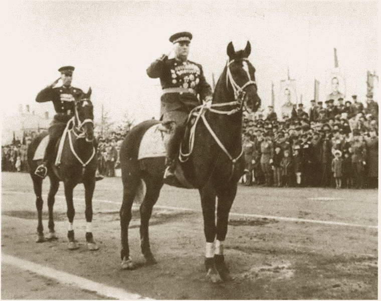 Мерецков Мерецков