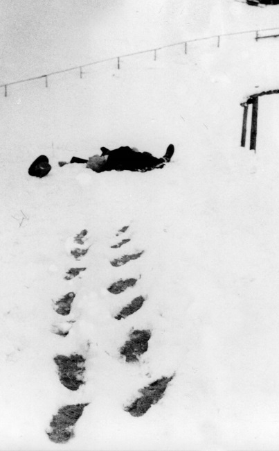 Пальто с хлястиком Пальто с хлястиком