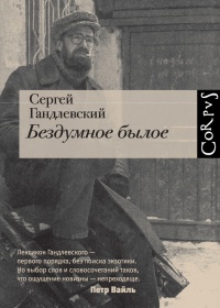 Бездумное былое - Сергей Гандлевский - Читать книги онлайн | Слушать аудиокниги онлайн | Электронная библиотека books-lib.com
