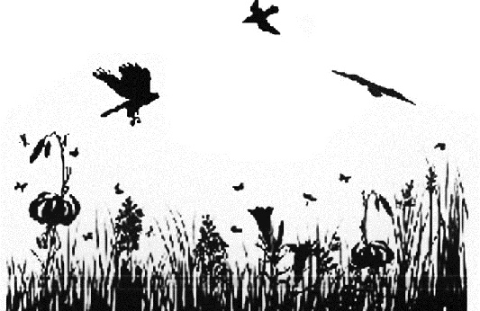 Златоуст и Златоустка