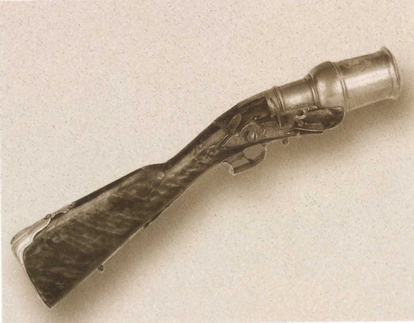 Карл XII, или Пять пуль для короля Карл XII, или Пять пуль для короля