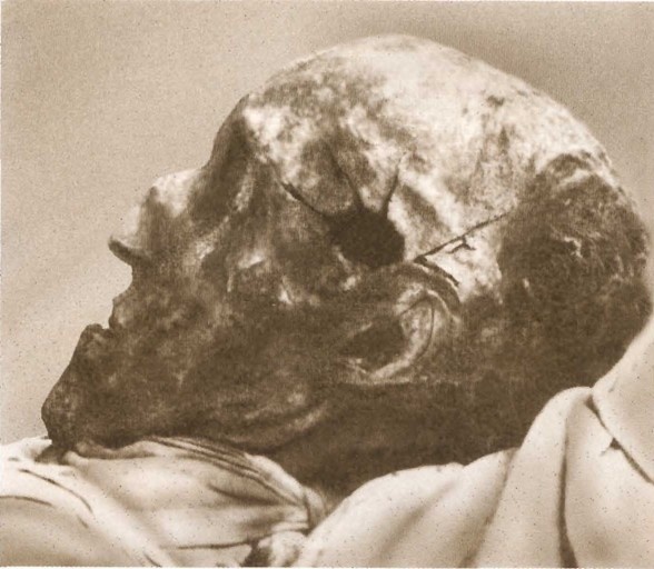 Карл XII, или Пять пуль для короля Карл XII, или Пять пуль для короля