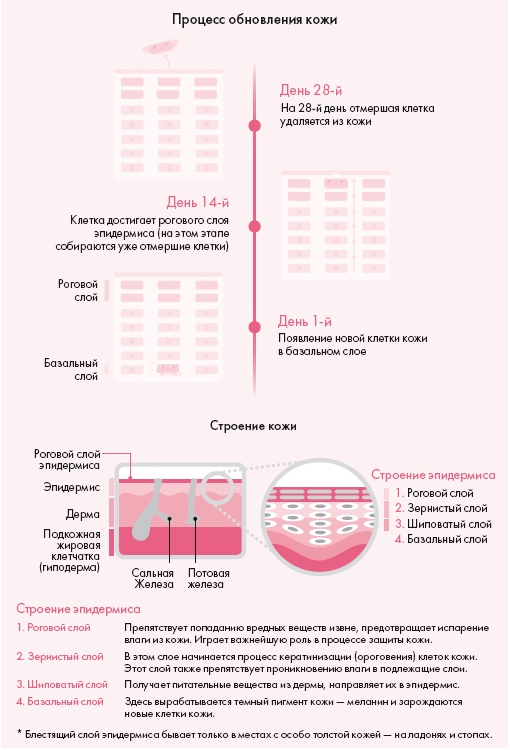 Корейская философия красоты. Smart-подход для идеальной кожи без дорогостоящих вложений Корейская философия красоты. Smart-подход для идеальной кожи без дорогостоящих вложений