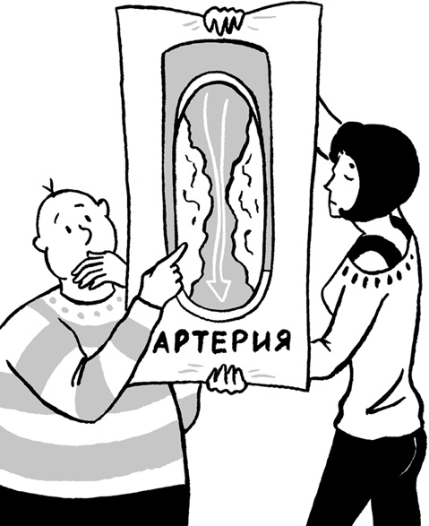 Еда живая и мертвая. 5 принципов здорового питания Еда живая и мертвая. 5 принципов здорового питания