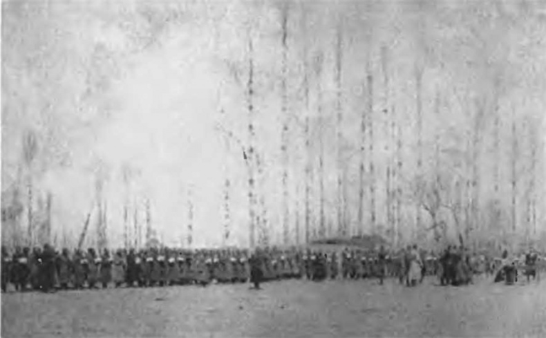 Казаки на Кавказском фронте. 1914-1917 Казаки на Кавказском фронте. 1914-1917