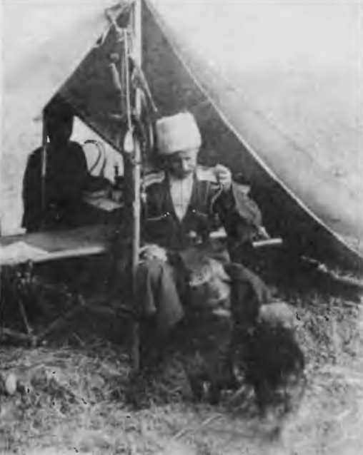 Казаки на Кавказском фронте. 1914-1917 Казаки на Кавказском фронте. 1914-1917