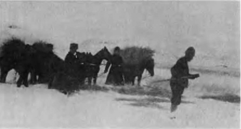 Казаки на Кавказском фронте. 1914-1917 Казаки на Кавказском фронте. 1914-1917