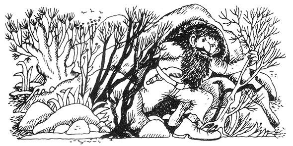 Большая книга о разбойнике Грабше Большая книга о разбойнике Грабше