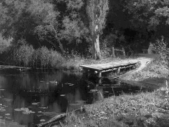 Быть дворянкой. Жизнь высшего светского общества Быть дворянкой. Жизнь высшего светского общества