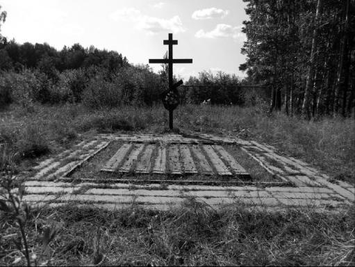 Вопросительные знаки в "Царском деле" Вопросительные знаки в "Царском деле"