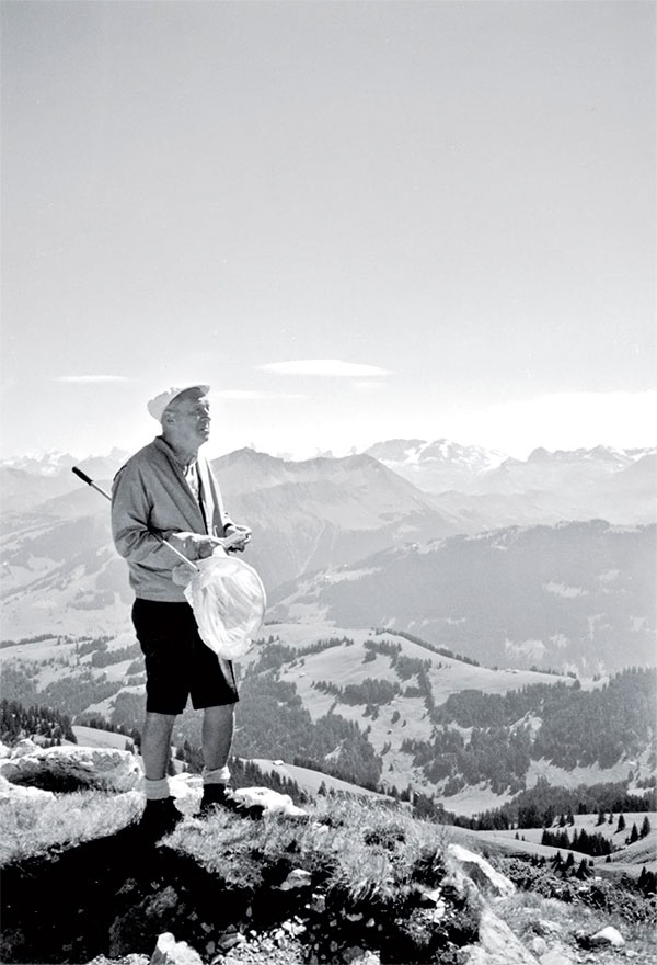 Волшебник. Набоков и счастье Волшебник. Набоков и счастье