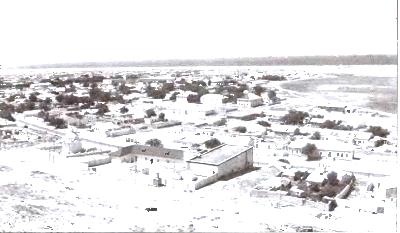 Диктатор Одессы. Зигзаги судьбы белого генерала Диктатор Одессы. Зигзаги судьбы белого генерала