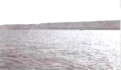 Диктатор Одессы. Зигзаги судьбы белого генерала Диктатор Одессы. Зигзаги судьбы белого генерала