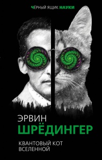 Квантовый кот вселенной - Эрвин Шредингер - Читать книги онлайн | Слушать аудиокниги онлайн | Электронная библиотека books-lib.com