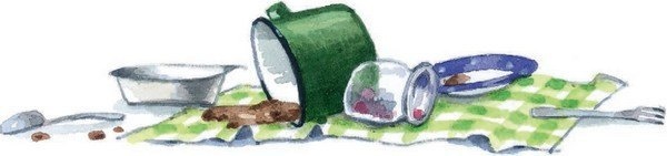 Господин Куцехвост и иностранный шпион Господин Куцехвост и иностранный шпион