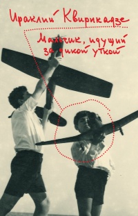 Мальчик, идущий за дикой уткой - Ираклий Квирикадзе - Читать книги онлайн | Слушать аудиокниги онлайн | Электронная библиотека books-lib.com