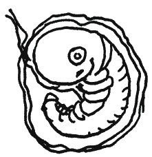 Энциклопедия Относительного и Абсолютного знания Энциклопедия Относительного и Абсолютного знания