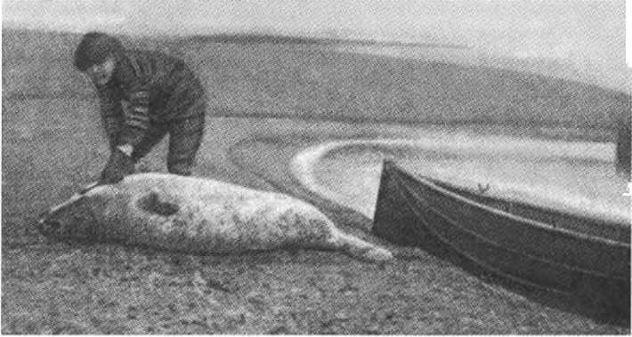 Русанов Русанов
