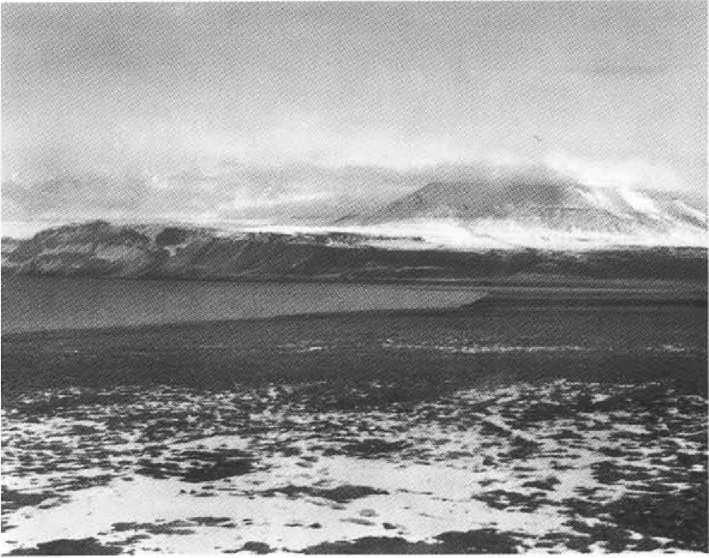 Русанов Русанов