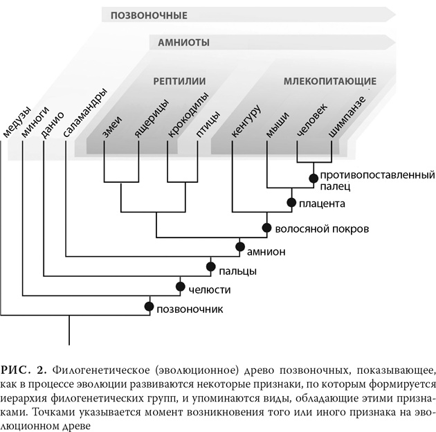 Эволюция: Неопровержимые доказательства Эволюция: Неопровержимые доказательства