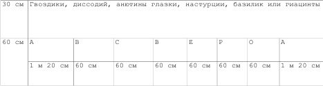 Однолетние цветы рукотворной красоты Однолетние цветы рукотворной красоты