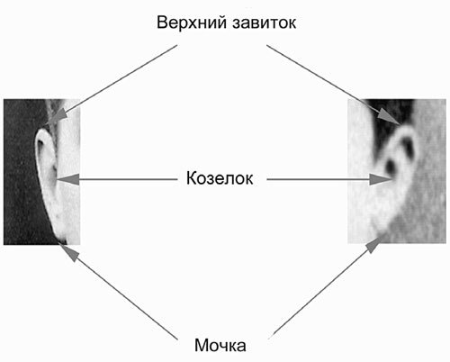 Сидней Рейли. Подлинная история «короля шпионов» Сидней Рейли. Подлинная история «короля шпионов»