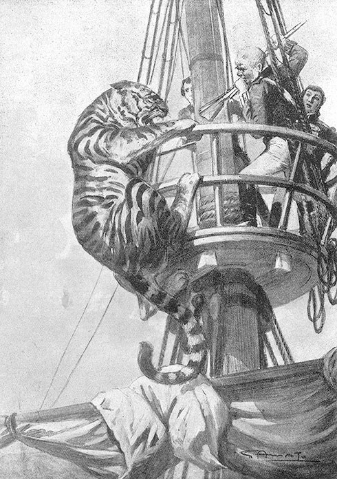 Корсары Южных морей Корсары Южных морей