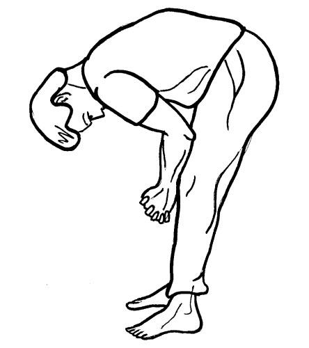 Йога для всех. Путь к здоровью Йога для всех. Путь к здоровью