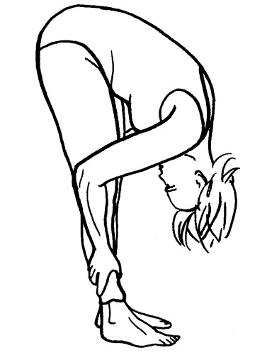 Йога для всех. Путь к здоровью Йога для всех. Путь к здоровью