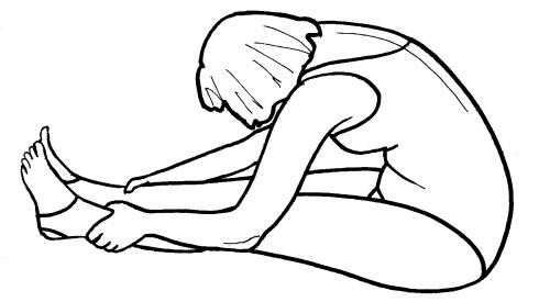 Йога для всех. Путь к здоровью Йога для всех. Путь к здоровью