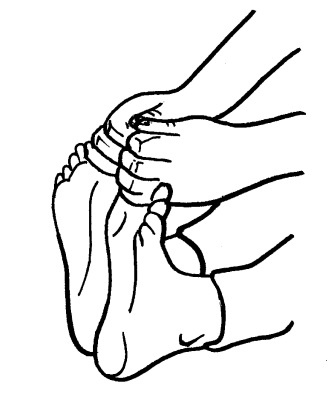 Йога для всех. Путь к здоровью Йога для всех. Путь к здоровью