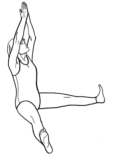 Йога для всех. Путь к здоровью Йога для всех. Путь к здоровью