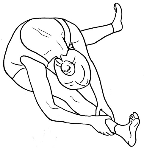 Йога для всех. Путь к здоровью Йога для всех. Путь к здоровью