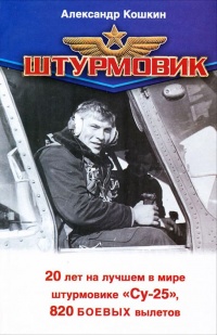 Штурмовик - Евгений Зубарев - Читать книги онлайн | Слушать аудиокниги онлайн | Электронная библиотека books-lib.com