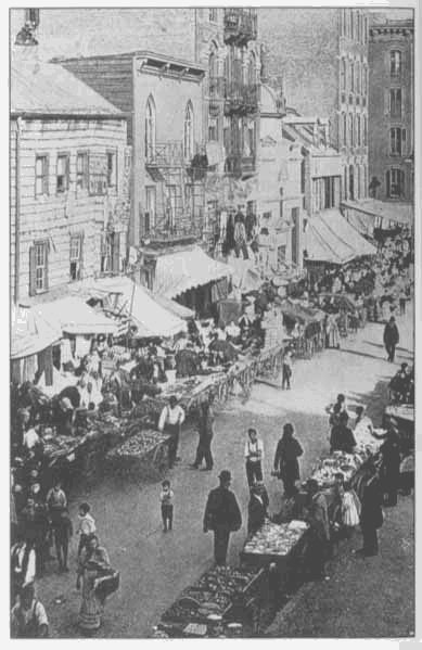 Золотая страна. Нью-Йорк, 1903. Дневник американской девочки Зиппоры Фельдман