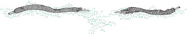 Удивительные приключения запредельно невероятной, исключительно неповторимой, потрясающей, ни на кого не похожей Маулины Шмитт. Часть 2. В ожидании чуда Удивительные приключения запредельно невероятной, исключительно неповторимой, потрясающей, ни на кого не похожей Маулины Шмитт. Часть 2. В ожидании чуда