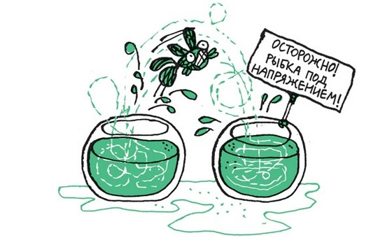 Удивительные приключения запредельно невероятной, исключительно неповторимой, потрясающей, ни на кого не похожей Маулины Шмитт. Часть 2. В ожидании чуда Удивительные приключения запредельно невероятной, исключительно неповторимой, потрясающей, ни на кого не похожей Маулины Шмитт. Часть 2. В ожидании чуда