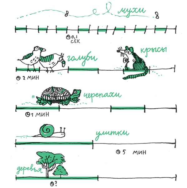 Удивительные приключения запредельно невероятной, исключительно неповторимой, потрясающей, ни на кого не похожей Маулины Шмитт. Часть 2. В ожидании чуда Удивительные приключения запредельно невероятной, исключительно неповторимой, потрясающей, ни на кого не похожей Маулины Шмитт. Часть 2. В ожидании чуда