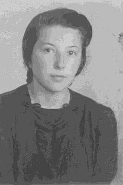 Ленинградский фронт Ленинградский фронт
