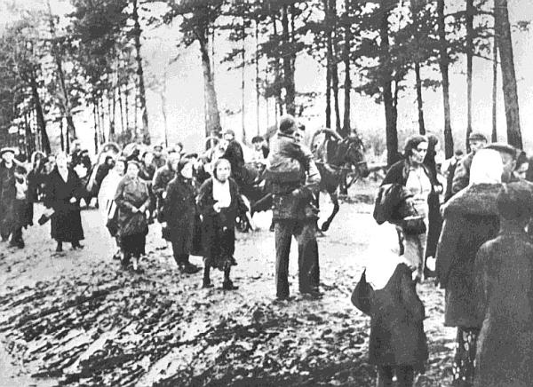 Ленинградский фронт Ленинградский фронт