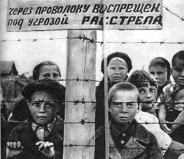 Ленинградский фронт Ленинградский фронт