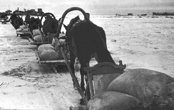 Ленинградский фронт Ленинградский фронт