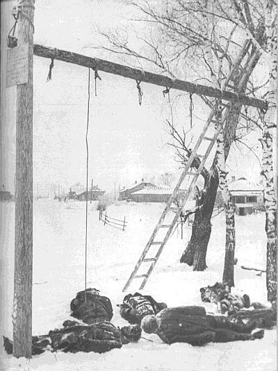 Ленинградский фронт Ленинградский фронт
