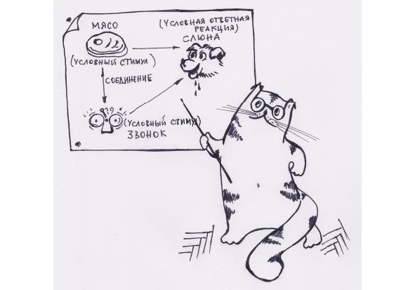 Инструкции по эксплуатации мозга для обывателя Инструкции по эксплуатации мозга для обывателя
