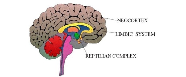 Инструкции по эксплуатации мозга для обывателя Инструкции по эксплуатации мозга для обывателя