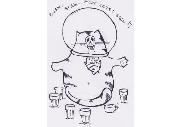 Инструкции по эксплуатации мозга для обывателя Инструкции по эксплуатации мозга для обывателя