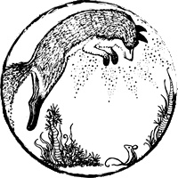 Foxcraft. Книга 3. Снежная магия Foxcraft. Книга 3. Снежная магия