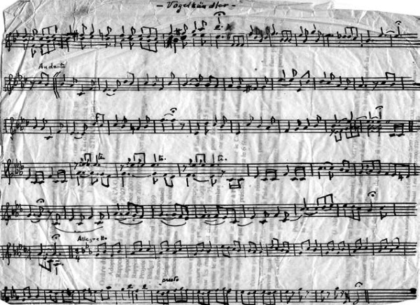 Тамбов. Хроника плена. Воспоминания Тамбов. Хроника плена. Воспоминания